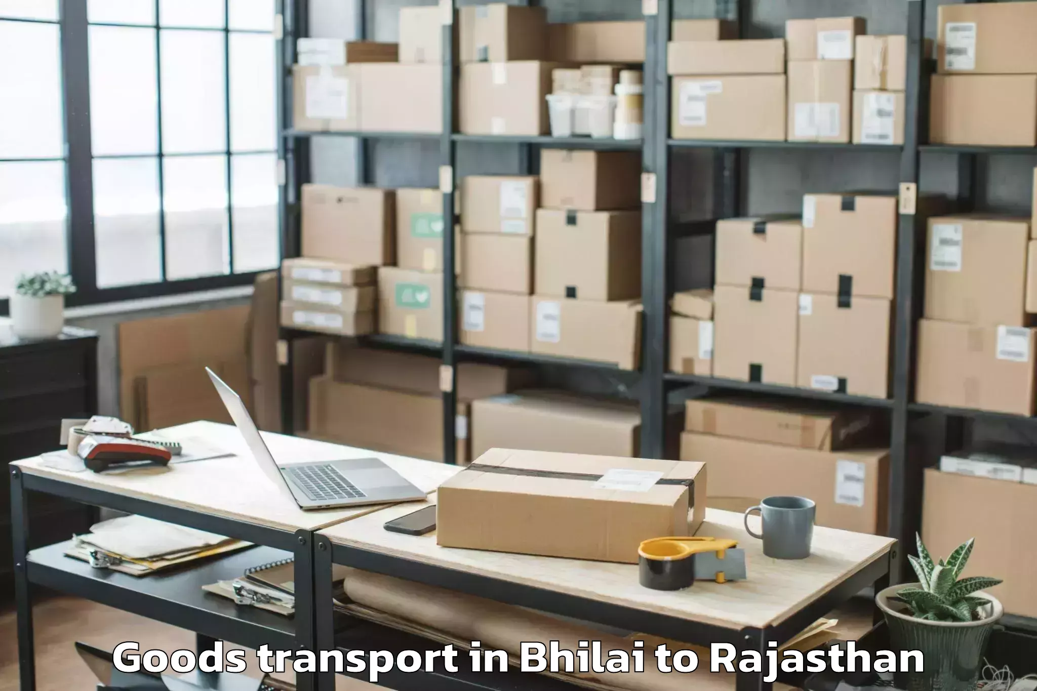 Get Bhilai to Pacific University India Udaip Goods Transport